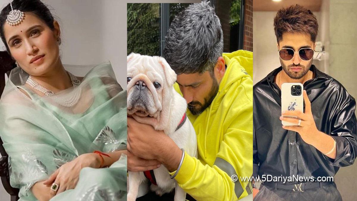 Pollywood, Entertainment, Actress, Cinema, Punjabi Films, Movie, Jassie Gill, Sagrika Ghatge, Jagdeep Sidhu, Dildariyaan