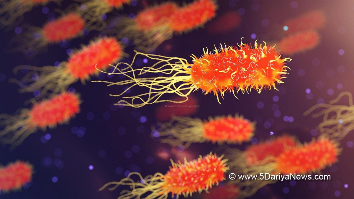Research, Study, London, Researchers, World News, Bacteria