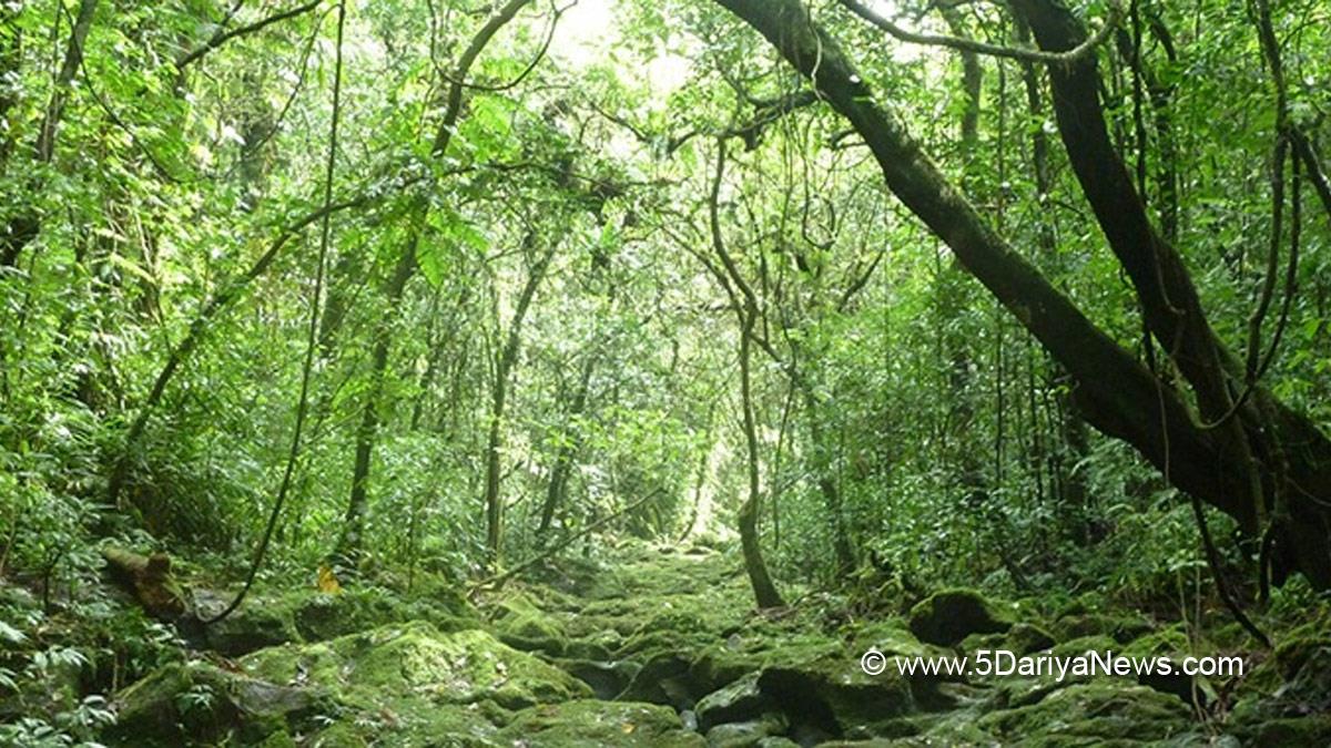 Khas Khabar, Seoul, Forests,  Food And Agriculture Organization, FAO, Coronavirus, Covid