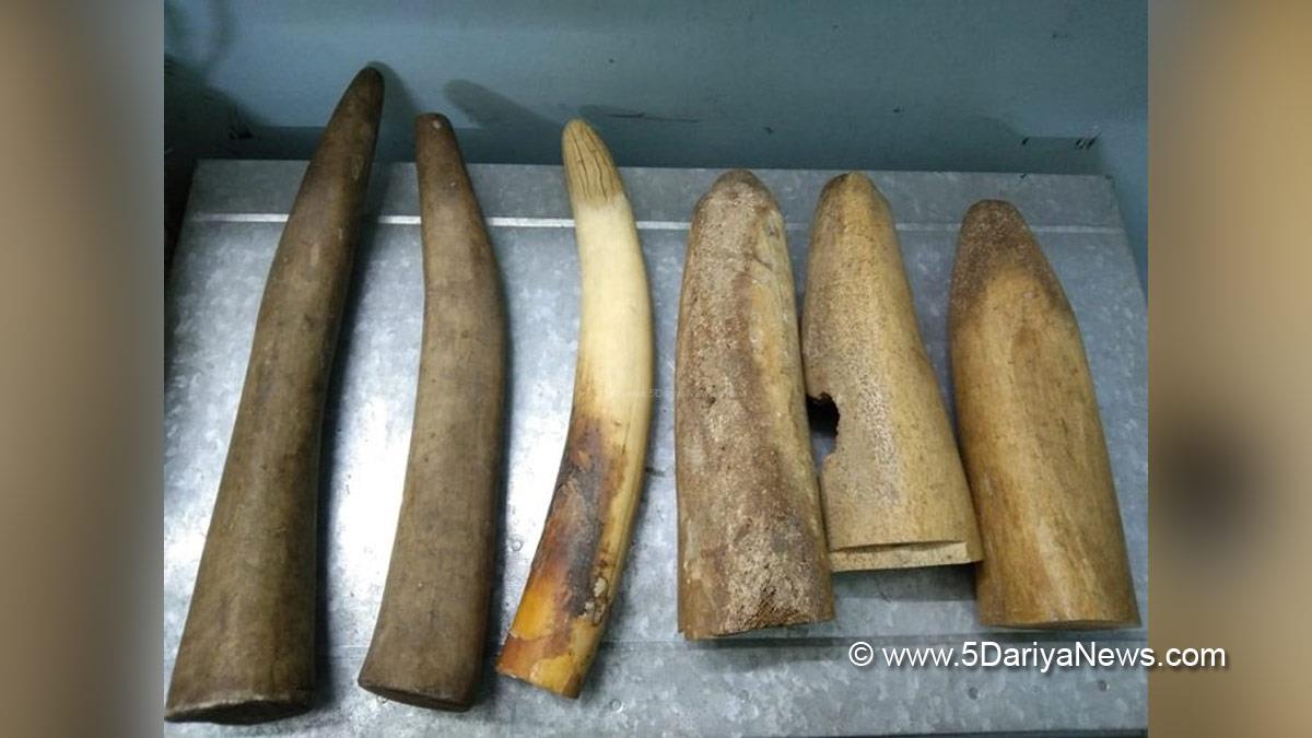 Crime News India, Crime News, Odisha, Bhubaneshwar, Elephant Tusks
