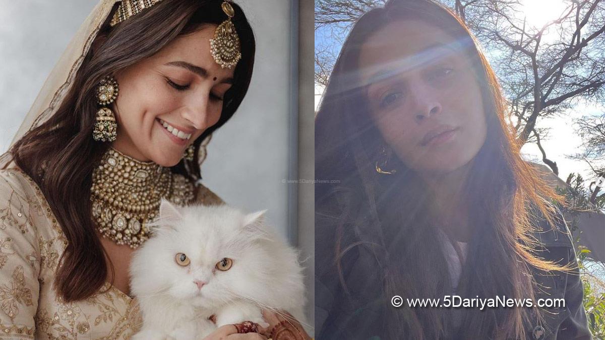Alia Bhatt, Bollywood, Entertainment, Mumbai, Actress, Cinema, Hindi Films, Movie, Mumbai News, Heroine, Alia Hollywood Debut, Gangubai Kathiawadi
