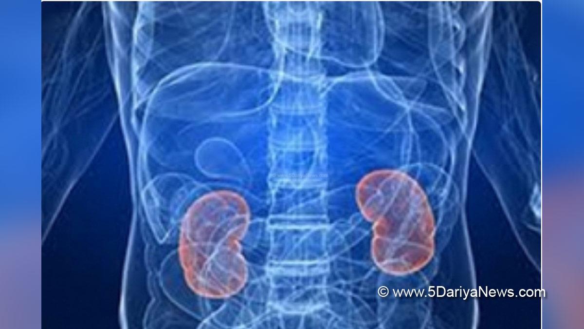 Health, Study, New Delhi, Research, Researchers, Lithium, Kidney