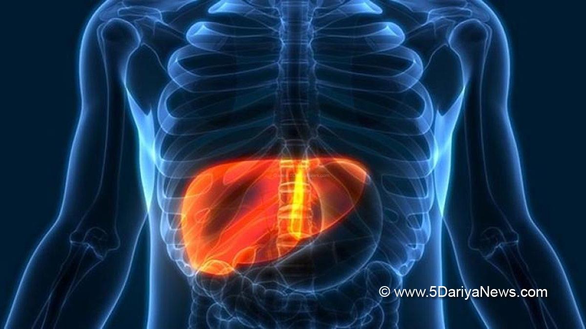 Health, Study, Los Angeles, Hepatitis, World News, Centers For Disease Control And Prevention, CDC