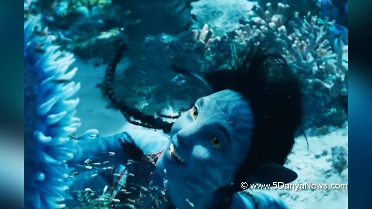 Hollywood, Los Angeles, Actress, Actor, Cinema, Movie, Avatar The Way Of Water