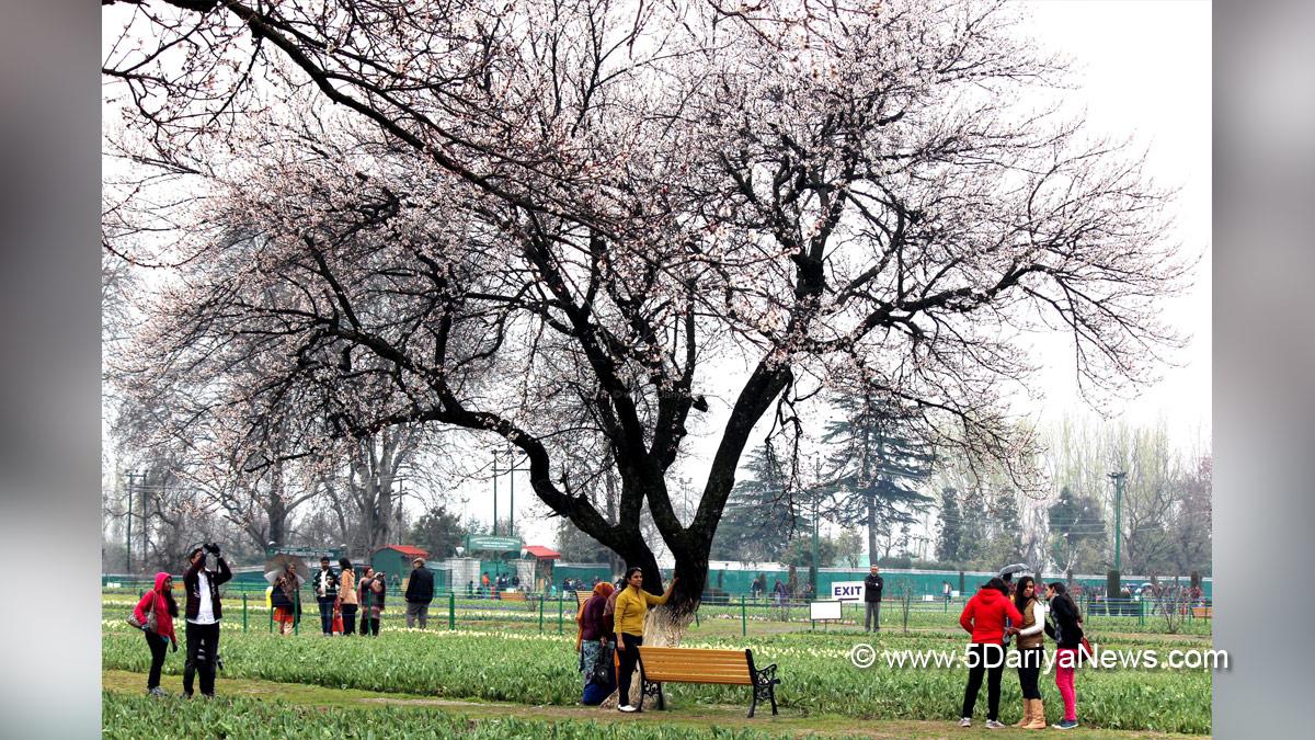 Weather , Srinagar , Kashmir , Jammu And Kashmir , Jammu & Kashmir , Indian Meterological Department , IMD