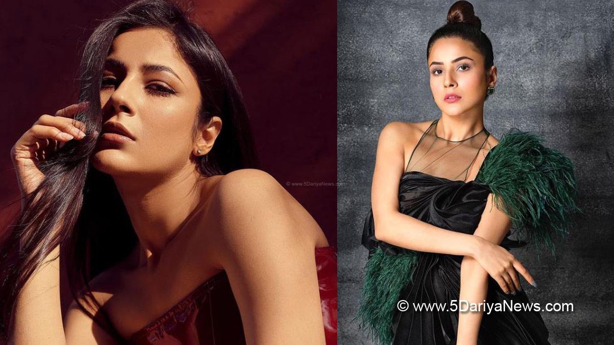 Kabhi Eid Kabhi Diwali , Aayush Sharma , Shehnaaz Gill , Punjab Ki Katrina Kaif , Bigg Boss 13 , Brahmakumari , Upcoming Bollywood Movies 2022 , Upcoming Bollywood Movies , Punjabi Singer , Shehnaaz Kaur Gill