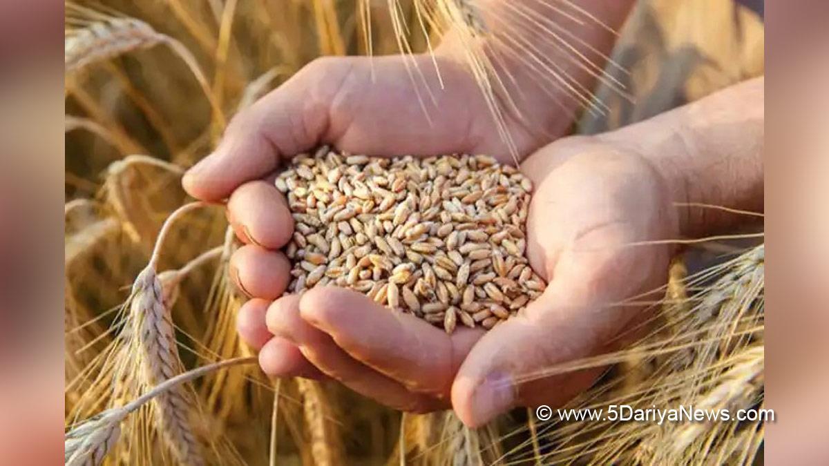 Khas Khabar, Wheat Importer, Grain, Wheat, Ukraine War, Egypt