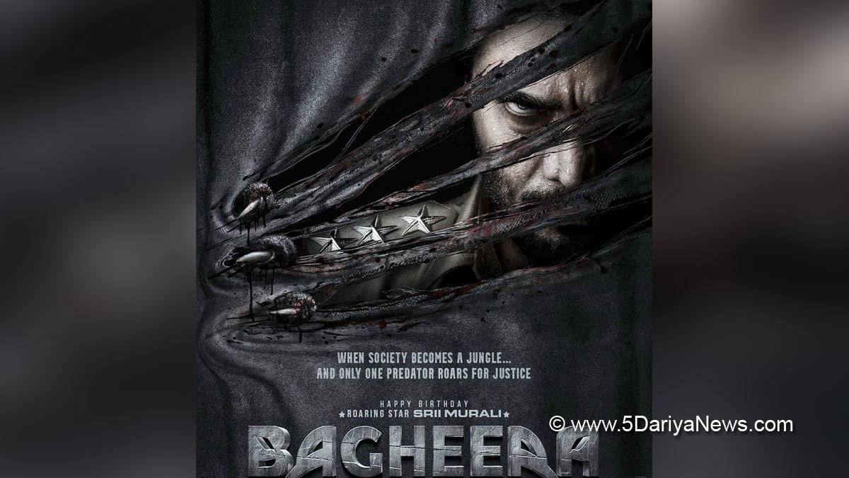 Sandalwood, Entertainment, Actor, Actress, Cinema, Movie, Heroine, KGF 2, Bagheera, Prashanth Neel