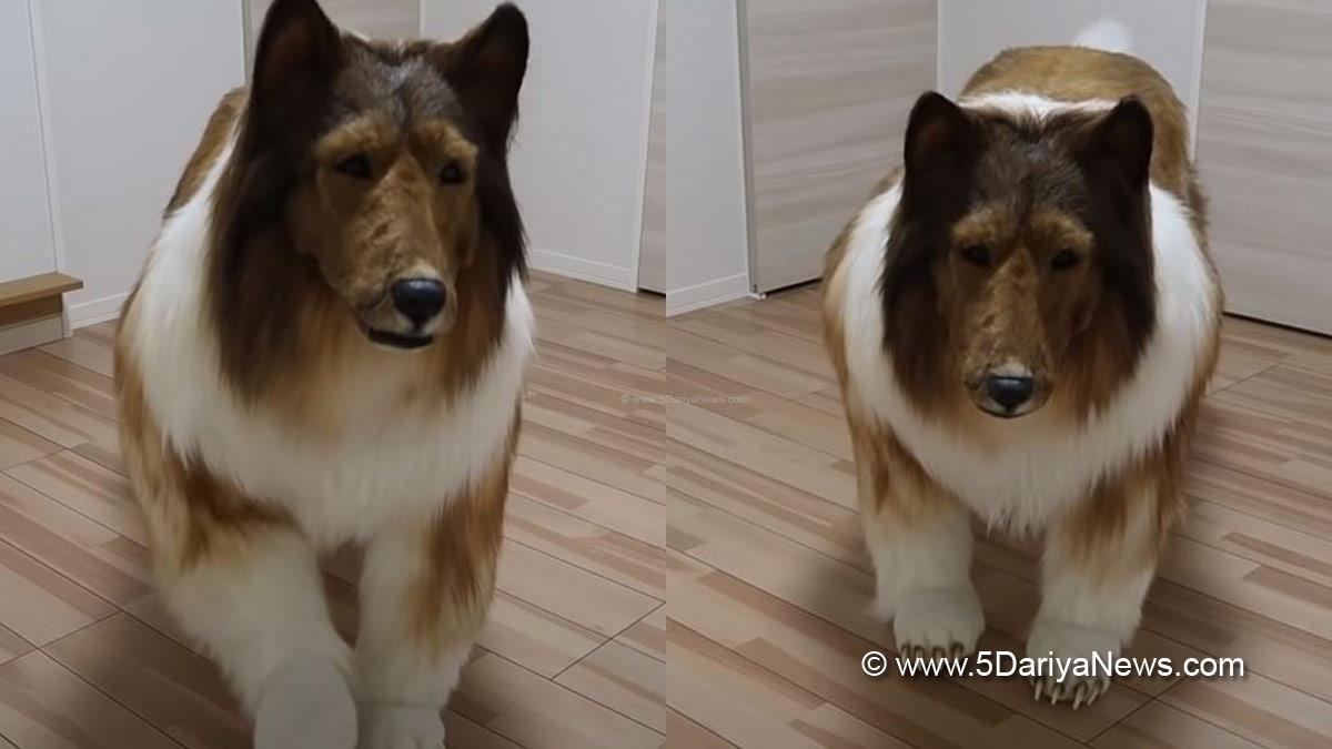 Khas Khabar , Japene Man , Japan , Dog Costume , Japene Man Dog Costume , Toko , Toko Dog Costume , Dog Lovers , Dog Lover