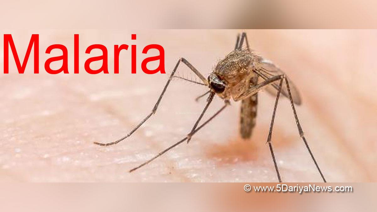 Malaria, Malaria Symptoms, Malaria Virus, Malaria Vaccine, Malaria Treatment, Malaria Parasite, Malaria Mosquito Name, Anopheles Mosquitoes, Malaria Is Caused By