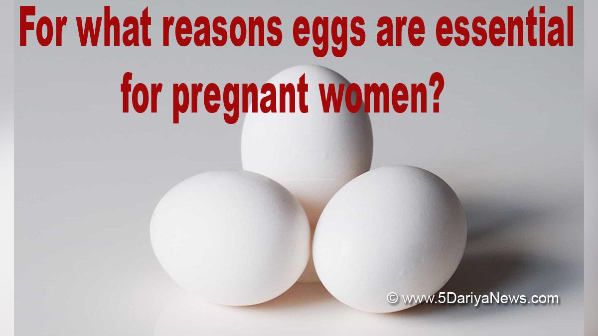 Egg, Eggs, Benefit Of Egg, Benefits Of Eggs, Eggs Nutrition, Eggs Calories, Eggs Proteins, Eggs Rate, Eggs Veg Or Non Veg, Eggs Vegetarian