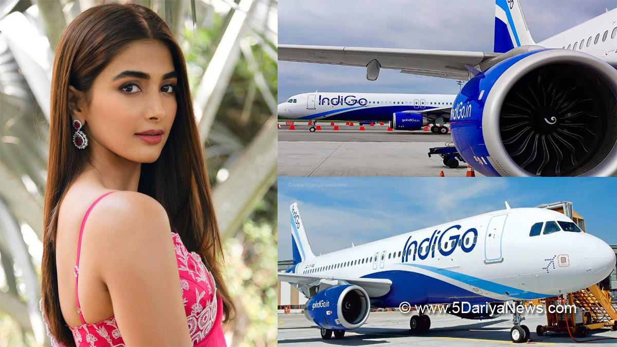 Pooja Hegde, Pooja Hegde Complain, Pooja Hegde Complains About IndiGo, IndiGo, IndiGo Staff, IndiGo Staff Complain, Vipul Nakashe, Airlines, Airlines Service