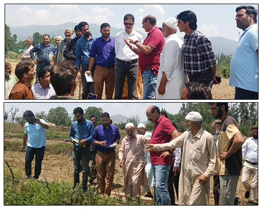 Agriculture, Director Agriculture Kashmir, Chowdhary Mohammad Iqbal, Srinagar, Kashmir, Jammu And Kashmir, Jammu & Kashmir, Kashmir Valley, Ranipura Sub Division Achabal Of Anantnag