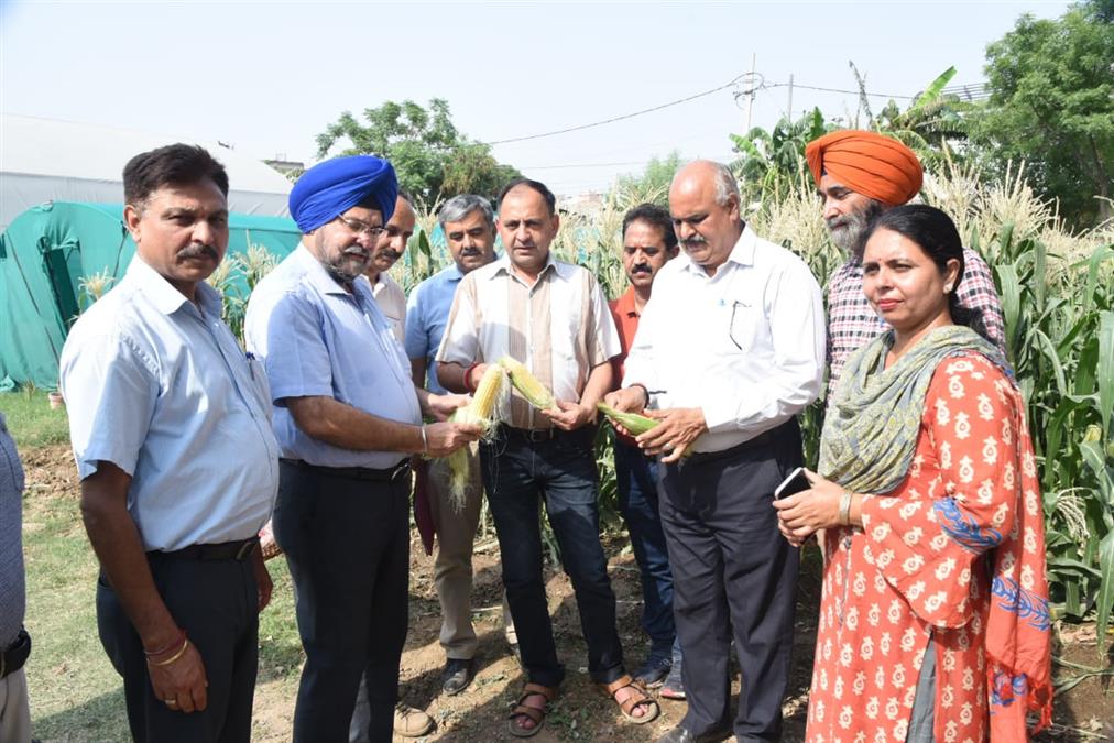 JK Admin, Kashmir, Jammu And Kashmir, Jammu & Kashmir, Srinagar, Jammu, Director Agriculture Production & Farmers Welfare Jammu, K. K. Sharma