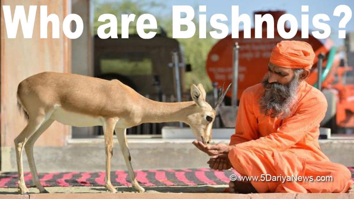 Who are Bishnois , Bishnois , All About Bishnois , Bishnoi Community , Sachin Bishnoi , Lawrence Bishnoi , Samvat , Guru Jambhoji , Guru Jambheshwar , Shri Jambheshwar Bhagwan , Jat Bishnoi , Bishnoi Gang , Gangster Bishnoi , Bishnoi Women , Bishnoi Tradition