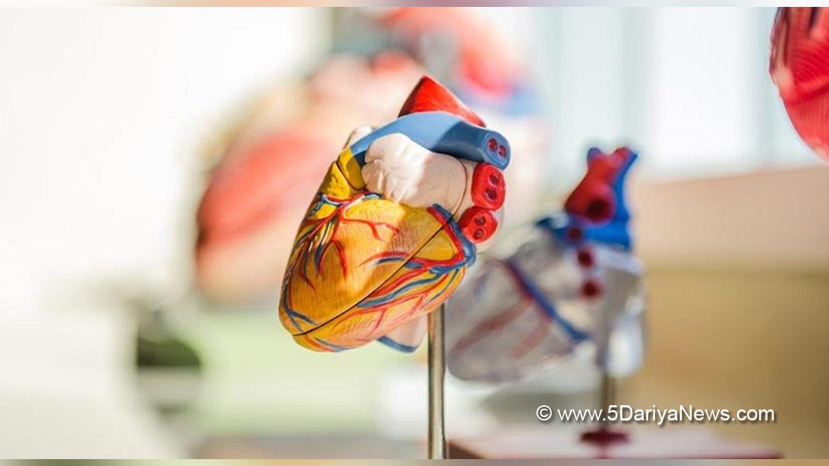 Health, Study, New York, Research, Researchers, World News, Cancer, Heart Disease