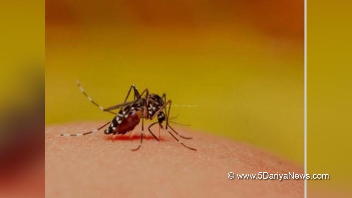 Health, Study, London, Research, Researchers, World News, Malaria, Malaria Vaccine