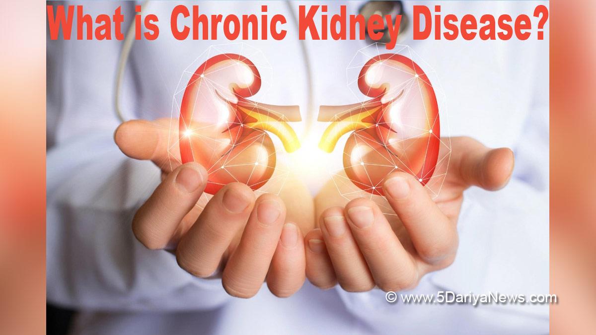 What is Chronic Kidney Disease, Chronic Kidney Disease, Chronic Kidney Disease Symptoms, Chronic Kidney Disease Stages, Chronic Kidney Disease treatment, Chronic Kidney Disease icd 10, Chronic Kidney Disease Radiology