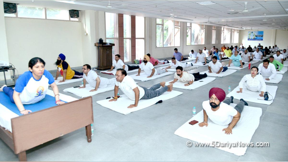 International Yoga Day 2022 Date, International Yoga Day, Yoga Day, Yoga Day 2022, Benefits Of Yoga, Yoga Benefits, International Yoga Day 2022 Theme, Why Is Yoga Day Celebrated, SAS Nagar Mohali