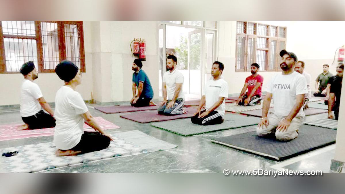 International Yoga Day 2022, International Yoga Day 2022 Date, International Yoga Day, Yoga Day, Yoga Day 2022, Benefits Of Yoga, Yoga Benefits, International Yoga Day 2022 Theme, Why Is Yoga Day Celebrated, Yoga, Batala, Punjab