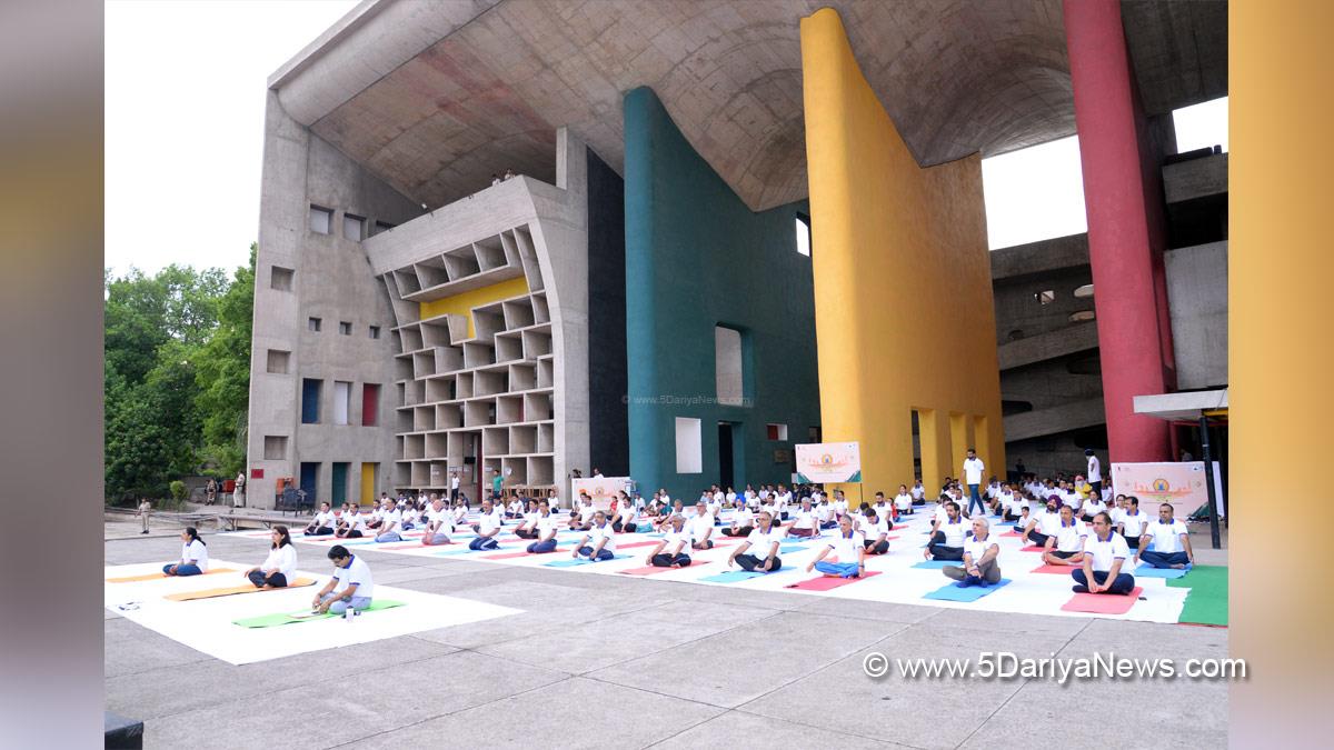 Punjab & Haryana High Court, International Yoga Day, Yoga Day, Yoga Day 2022, Benefits Of Yoga, Yoga Benefits, International Yoga Day 2022, International Day of Yoga Day, Yoga