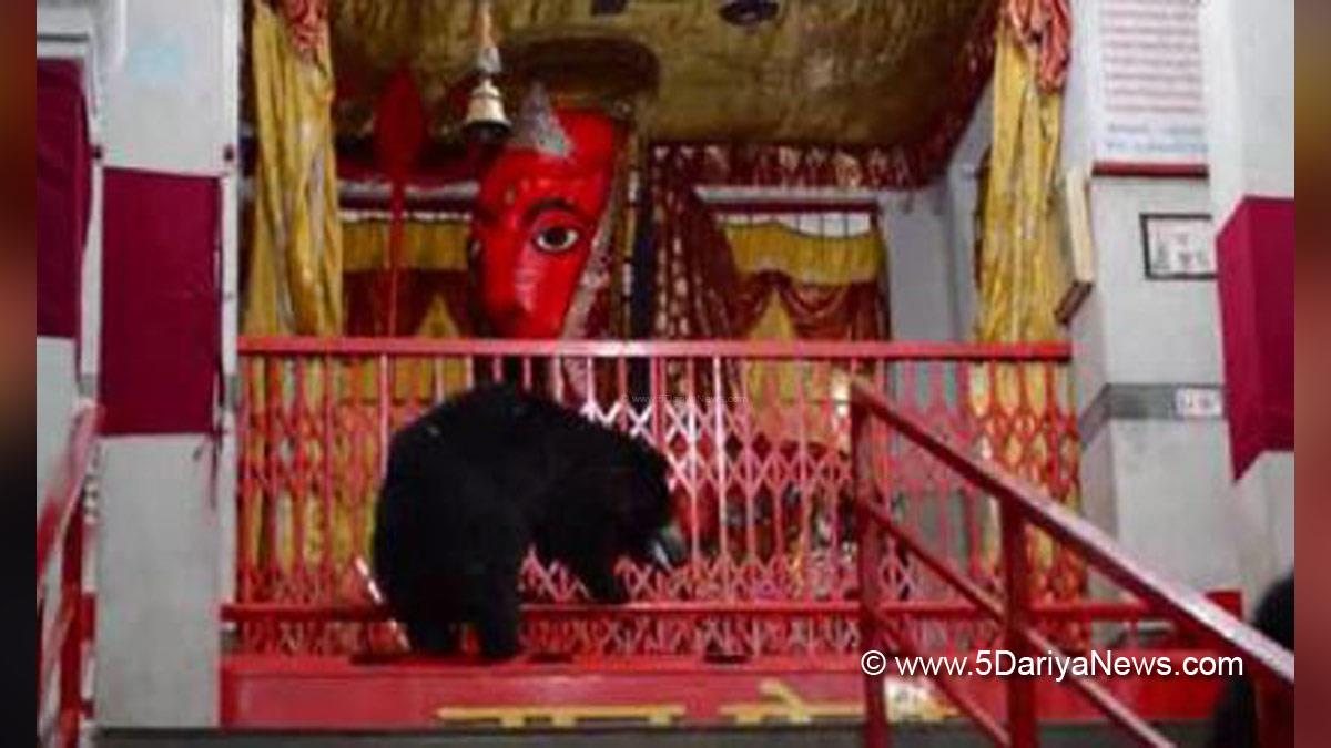 Chandi Mata Temple , Chandi Mandir , Chandi Godess , Religious , Temple , Chhattisgarh , Chhattisgarh Temple