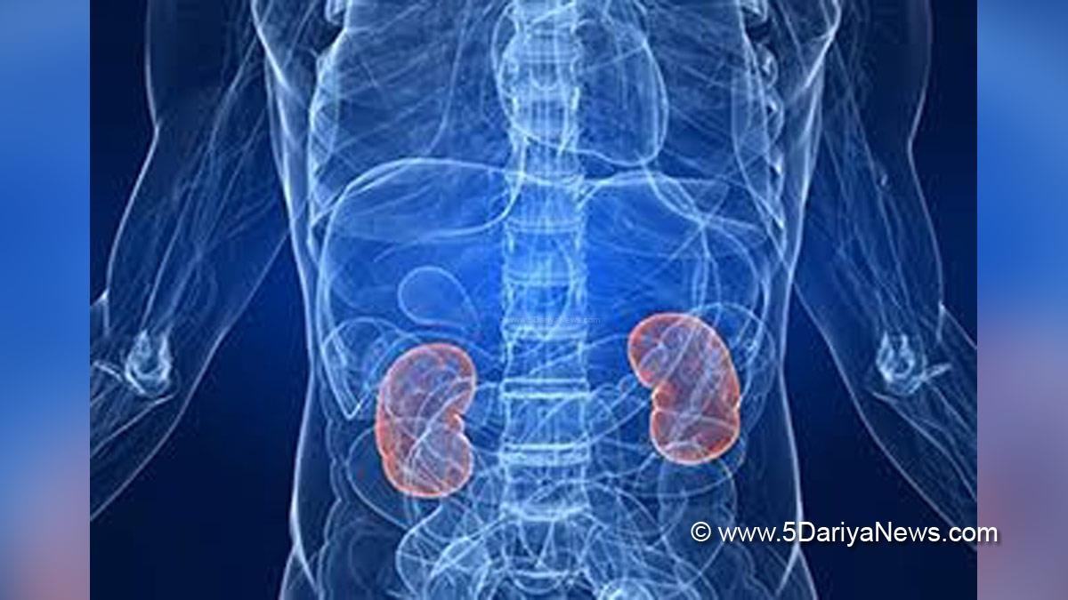 Kidney Stones, Health, Study, Research, Urolithiasis, Nephrolithiasis, Kidney Stone Symptoms, Kidney Stone Causes, Kidney Stone Treatment, Kidney Stone Pain Area, Kidney Stone Symptoms In Hindi, How To Get Rid Of Kidney Stone Pain