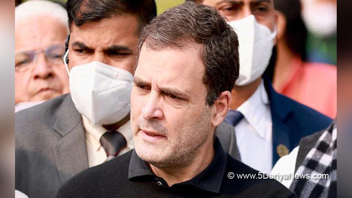 Rahul Gandhi, Indian National Congress, Congress, All India Congress Committee, Rahul Gandhi News, Rahul Gandhi News In Hindi