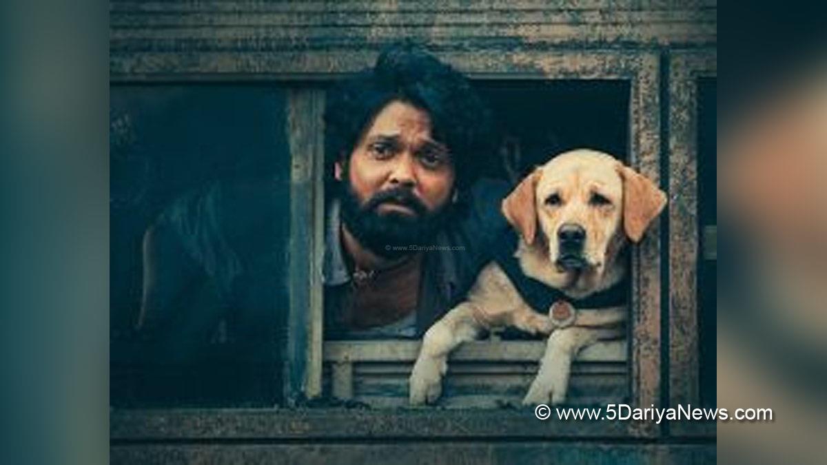 Tollywood, Entertainment, Actor, Actress, Cinema, Movie, Telugu Films, 777 Charlie