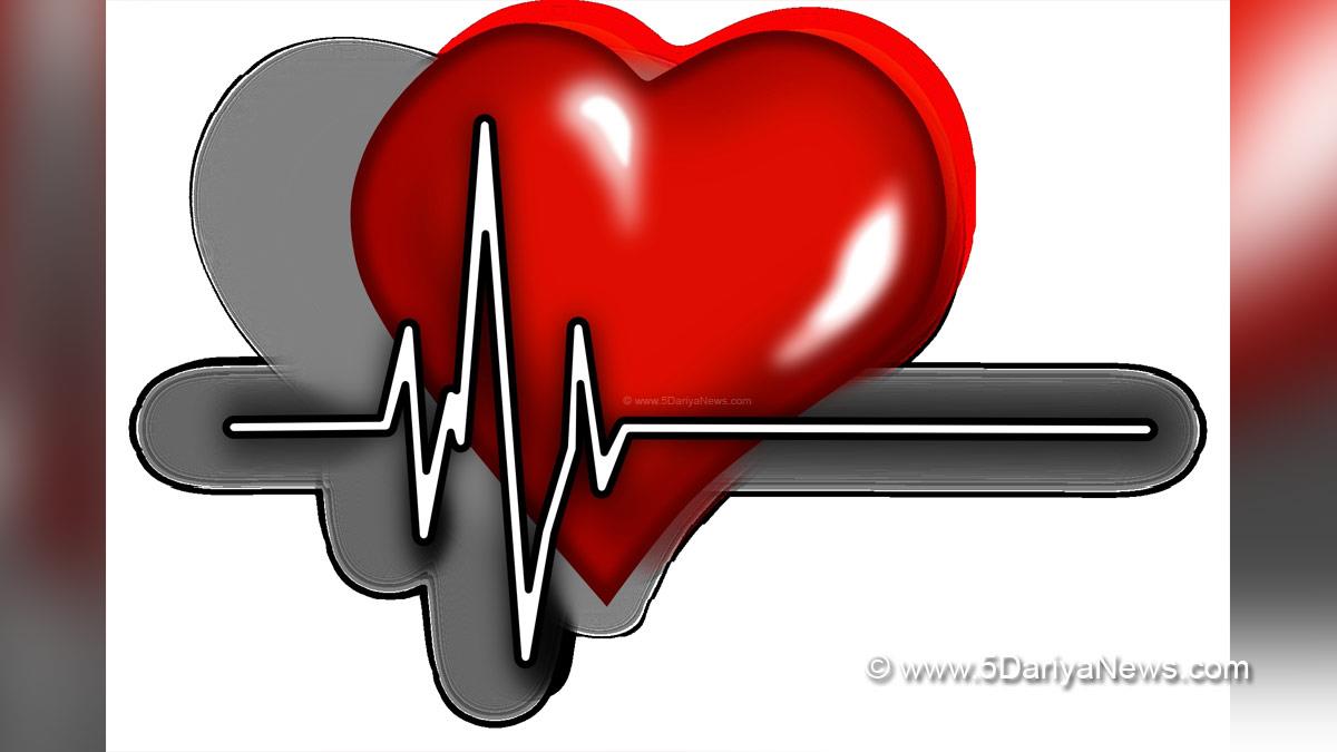 Health, Study, New York, Research, Researchers, World News