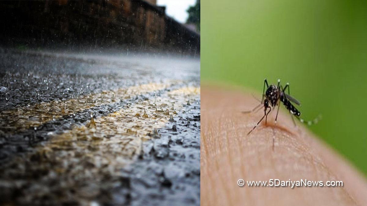 Dengue, Malaria, Precautions To Be Taken In Rainy Weather, Rainy Weather Precautions, Dengue Symptoms, Dengue Precautions, Dengue Fever, Malaria Symptoms, Malaria Precautions, Malaria Fever, Health, Study, Research