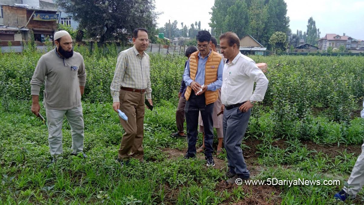 Horticulture, Horticulture Department, G.R. Mir, Horticulture Department Kashmir, Jammu, Kashmir, Jammu And Kashmir, Jammu & Kashmir