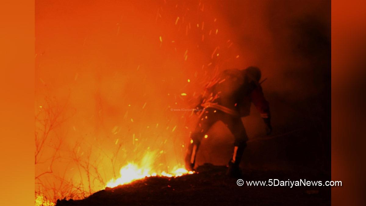 Hadsa World, Hadsa, Paris, France, Wildfires