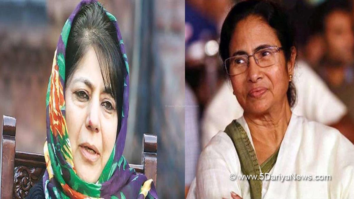 Mehbooba Mufti Vice President Candidate, Vice President Elections, Vice President Elections 2022, Mamata Banerjee On Mehbooba Mufti