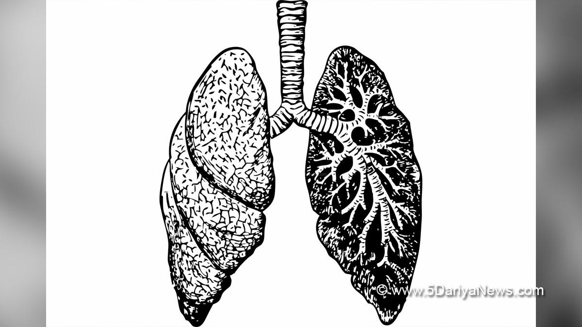Health, Study, New York, Research, Researchers, World News