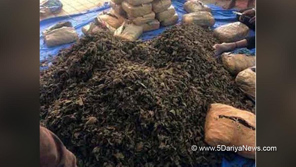 Crime News India, Crime News, Odisha, Narcotics Drugs and Psychotropic Substances, NDPS, Special Task Force, STF, Ganja Smugglers