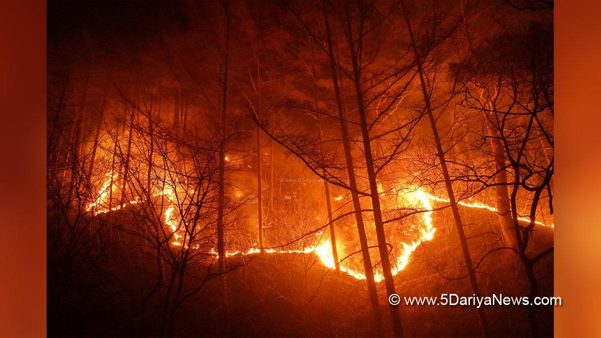 Hadsa World, Hadsa, California, US, Explosive Wildfire, Yosemite National Park