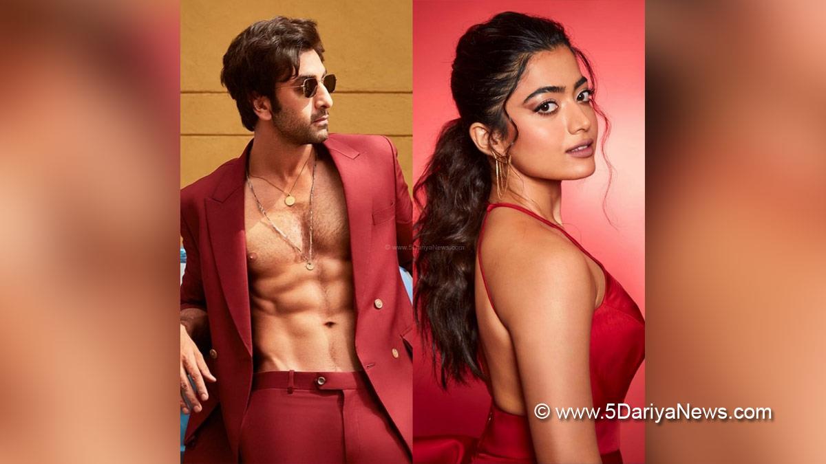 Tollywood, Entertainment, Actor, Actress, Cinema, Movie, Telugu Films, Rashmika Mandanna, Animal, Bollywood, Ranbir Kapoor