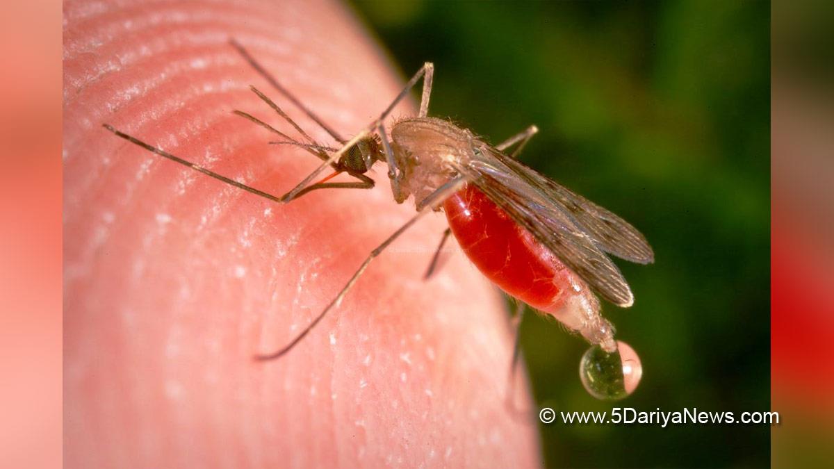 Health, Special Day, New Delhi, World Mosquito Day, World Mosquito Day 2022, World Mosquito Day Theme, Malaria