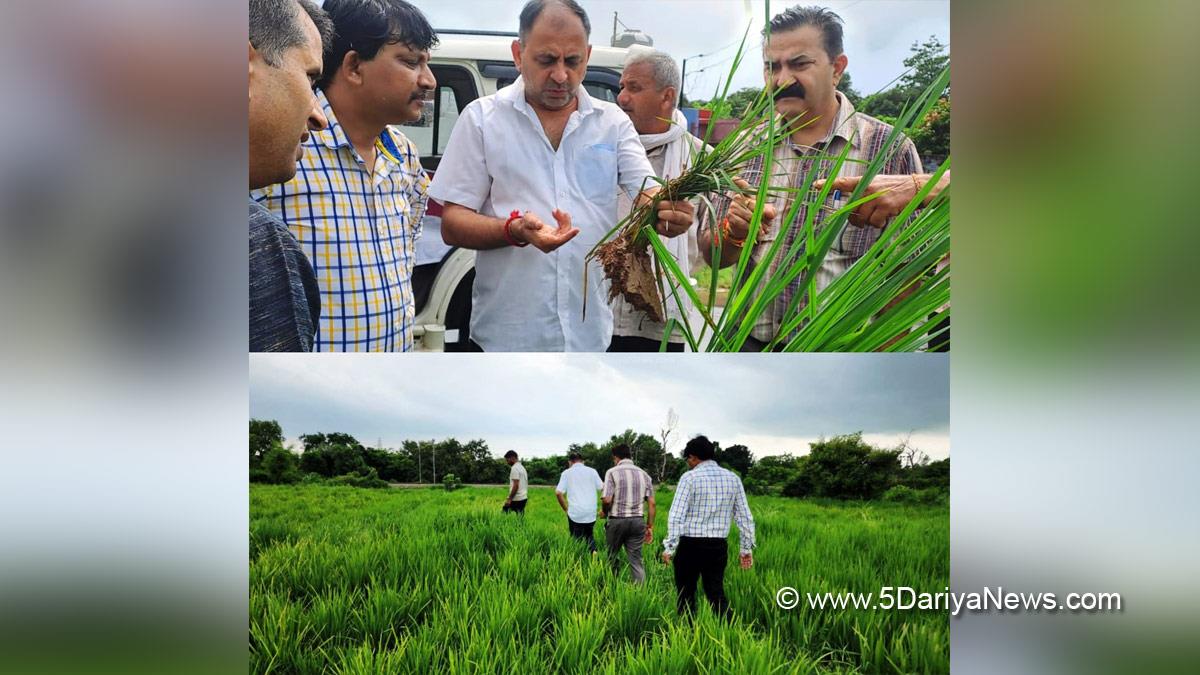 Agriculture, Director Agriculture Jammu, K. K. Sharma, Jammu, Jammu And Kashmir, Jammu & Kashmir, Kashmir Valley