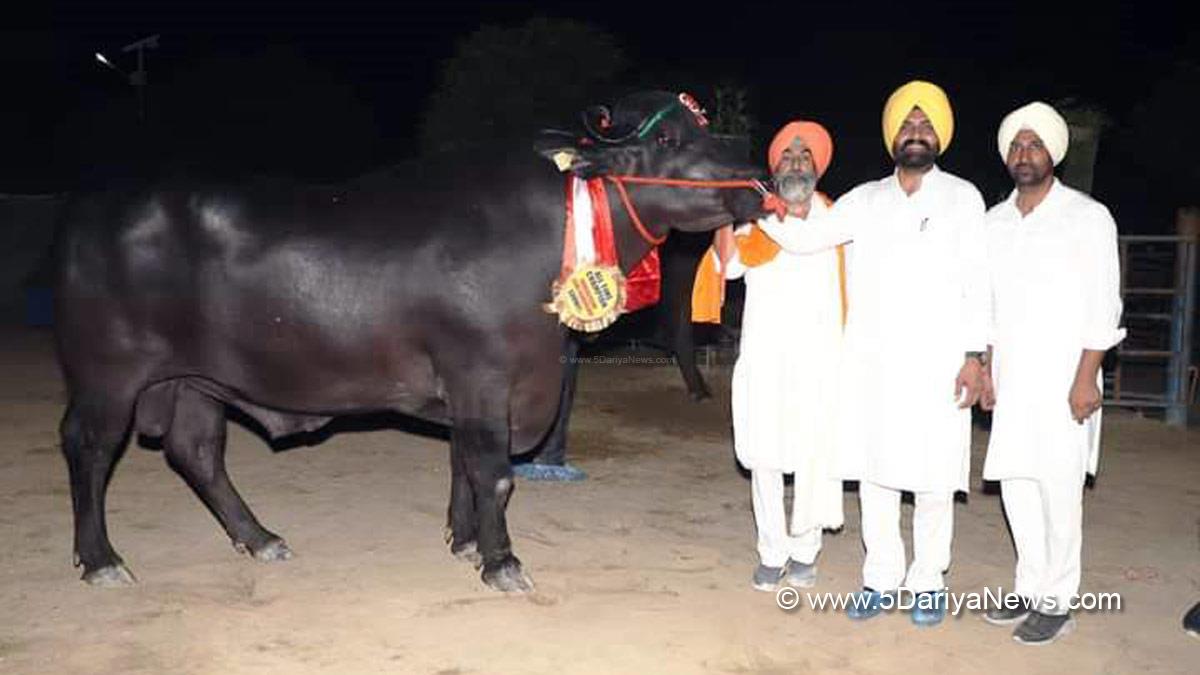 Laljit Singh Bhullar, AAP, Aam Aadmi Party, Aam Aadmi Party Punjab, AAP Punjab, Government of Punjab, Punjab Government