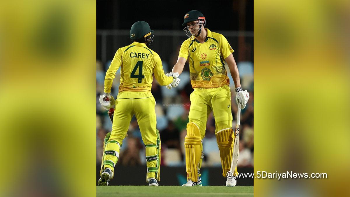 Sports News, Cricket, Cricketer, Player, Bowler, Batsman, Alex Carey, Cameron Green, ODI Series, 1st ODI, Australia Vs New Zealand