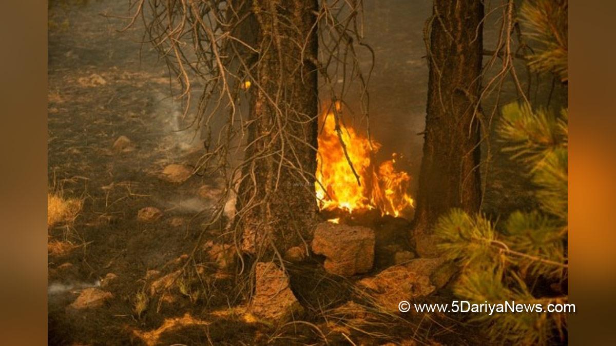 Hadsa World, Hadsa, California, Fire, Wildfire, California Wildfire
