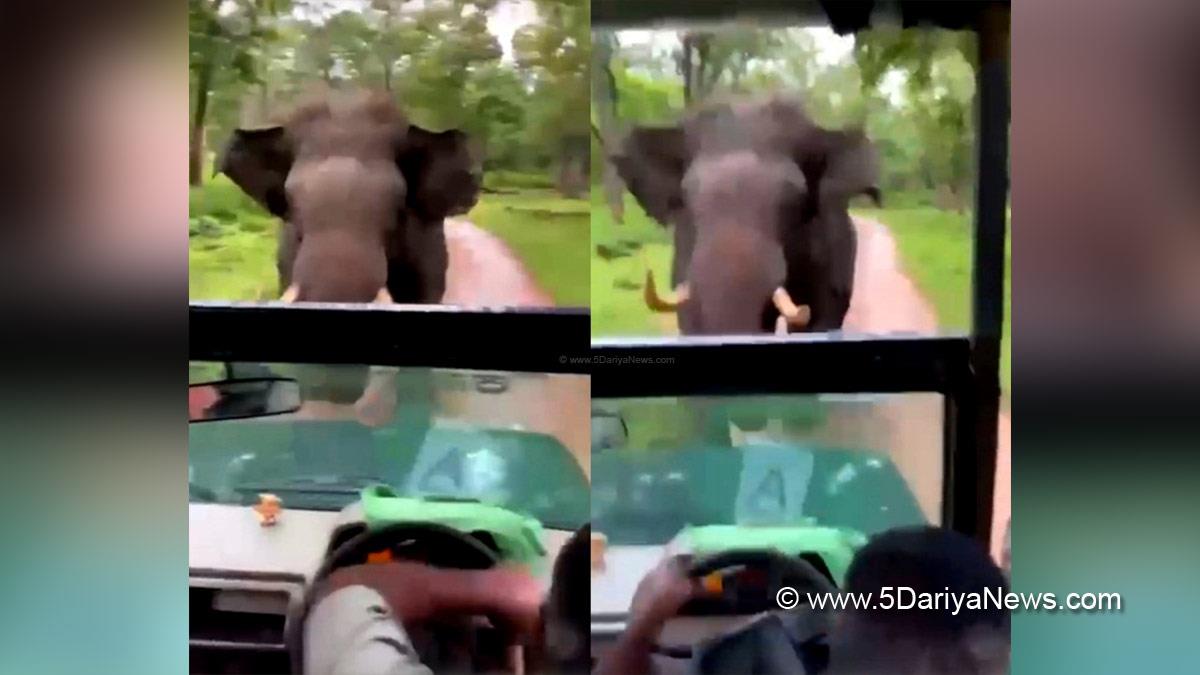 Khas Khabar, Karnataka, Mysuru, Jungle Safari, Kabini Backwaters
