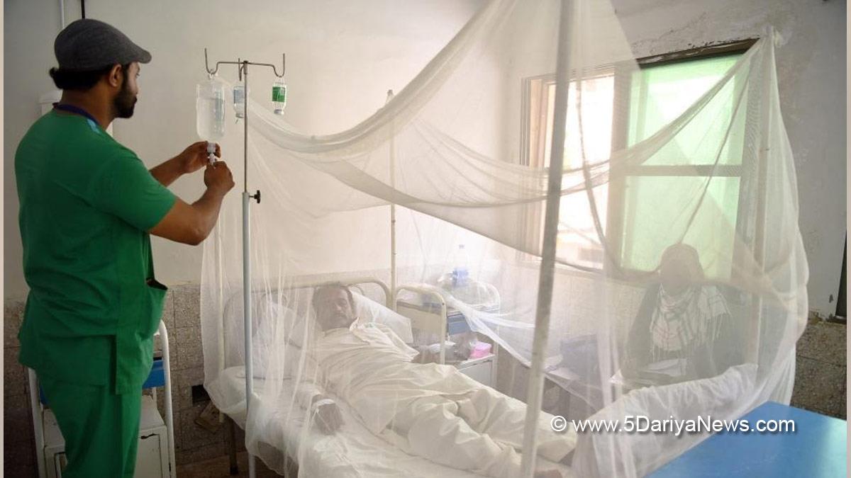 Health, Pakistan, Islamabad, Dengue, Dengue Fever Cases