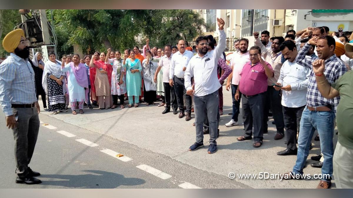 Fazilka, Protest, Agitation, Demonstration, Strike, Punjab State Ministerial Services Union