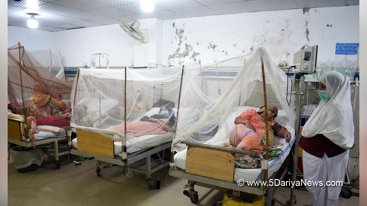 Health, Dengue, Dengue Fever Case, Pakistan, Islamabad