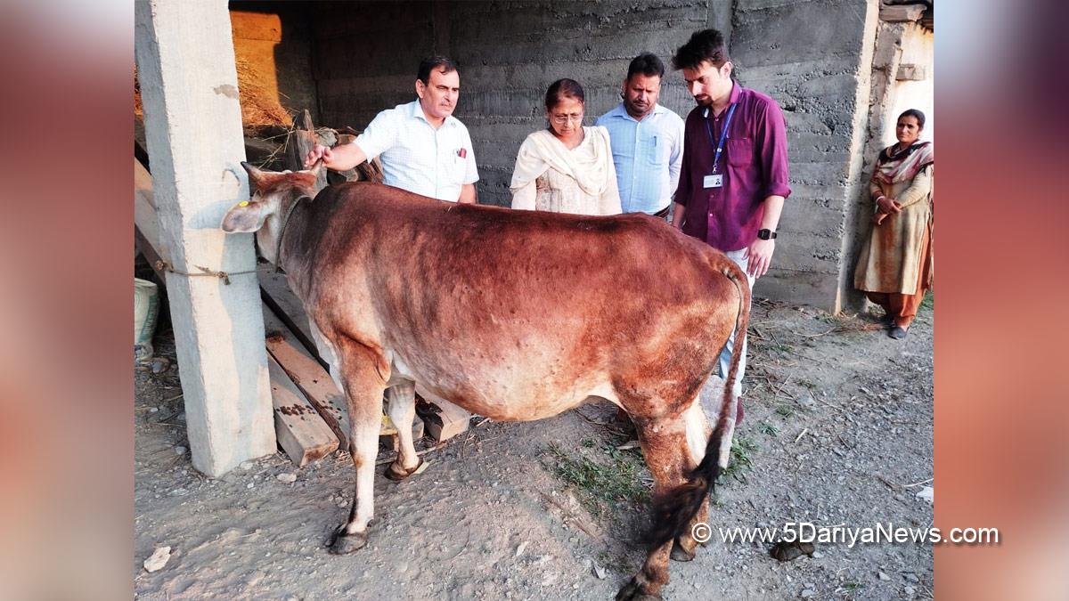 Dr. Shubhra Sharma, Animal Husbandry Department, Director Animal Husbandry Department Jammu, Lumpy Skin Disease, Jammu And Kashmir, Jammu & Kashmir