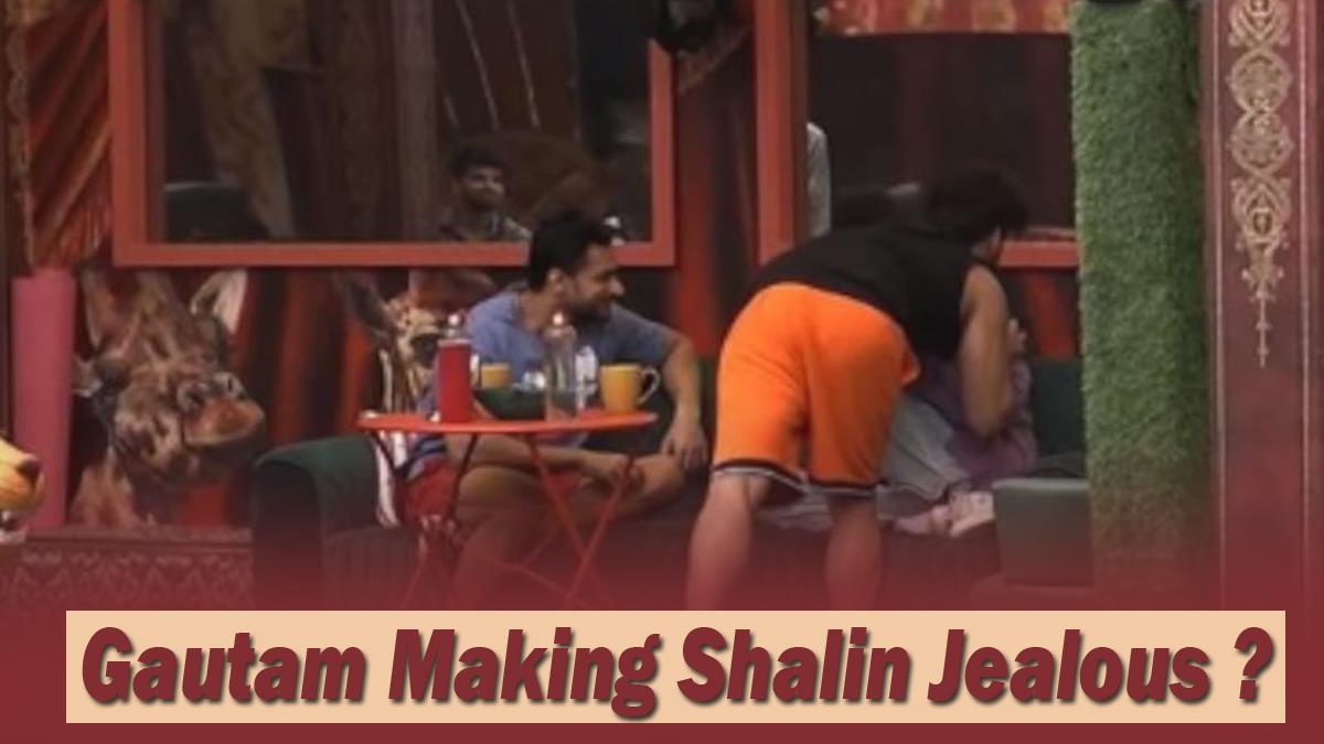 TV, Bigg Boss Season 16, Bigg Boss 16, Bigg Boss, Bigg Boss 16 Contestant List, Bigg Boss 16 Updates, BB 16, BB16, BB 16 Updates, BB 16 News, BB 16 News Today, Bigg Boss 16 News, Bigg Boss 16 News Today, Bigg Boss 16 Update, Gautam Vig Kissed Tina Datta, Shalin Bhanot, Shalin Bhanot Tina Datta, Bigg Boss 16 Love Angles, Bigg Boss 16 Love Angle, Gautam Vig Tina Datta, Gautam Vig Shalin Bhanot Controversy