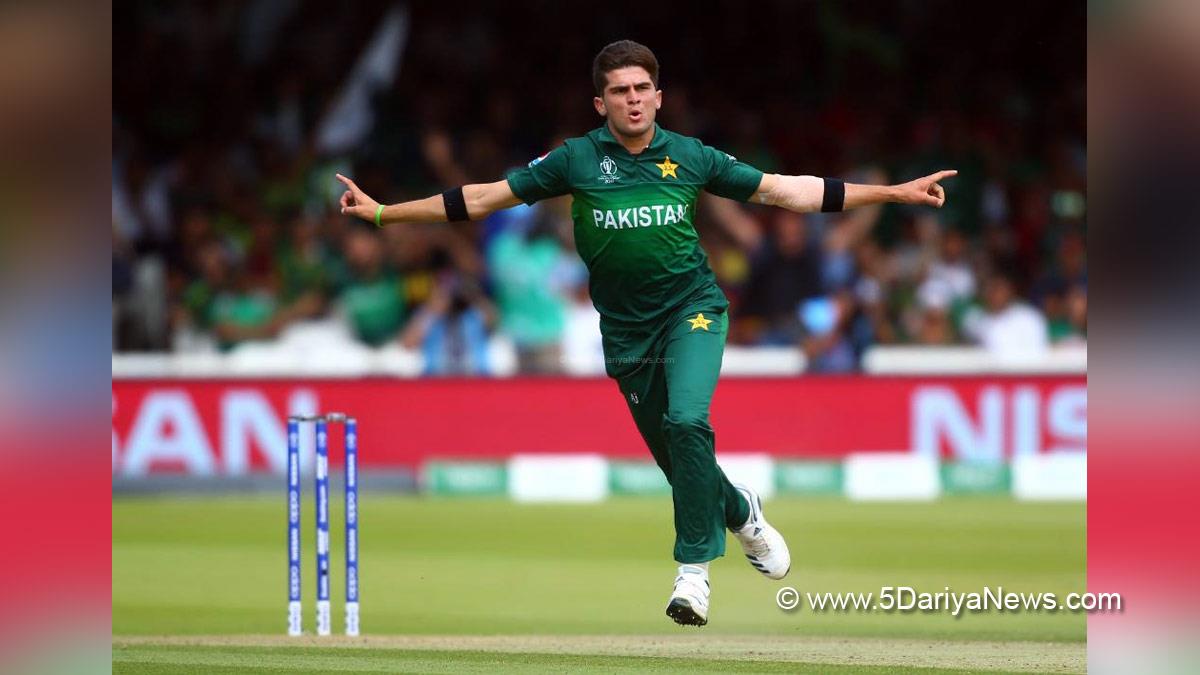 Sports News, Cricket, Cricketer, Player, Bowler, Batsman, Shaheen Shah Afridi, Pakistan Cricket Board, PCB, T20 World Cup, T20 World Cup 2022